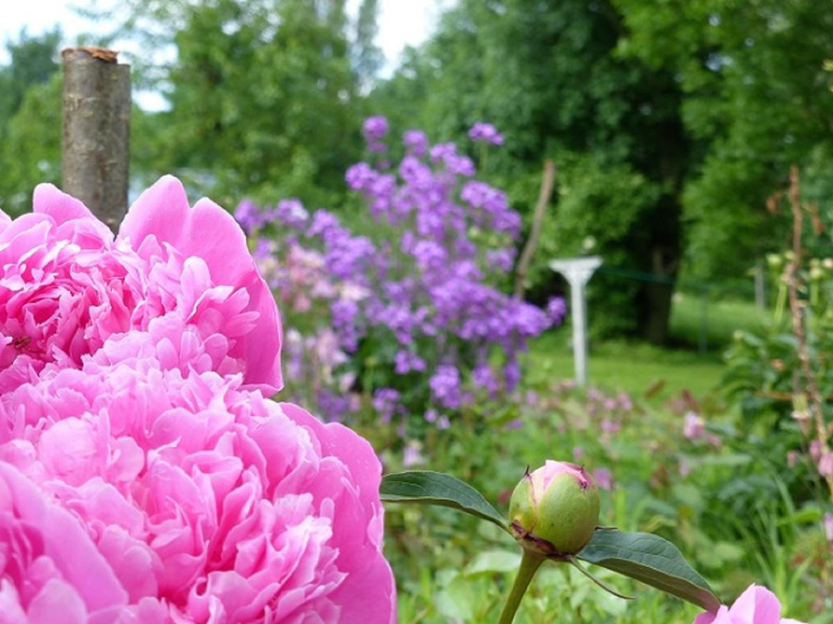 Ferienhof Wolfrum Berg  ภายนอก รูปภาพ